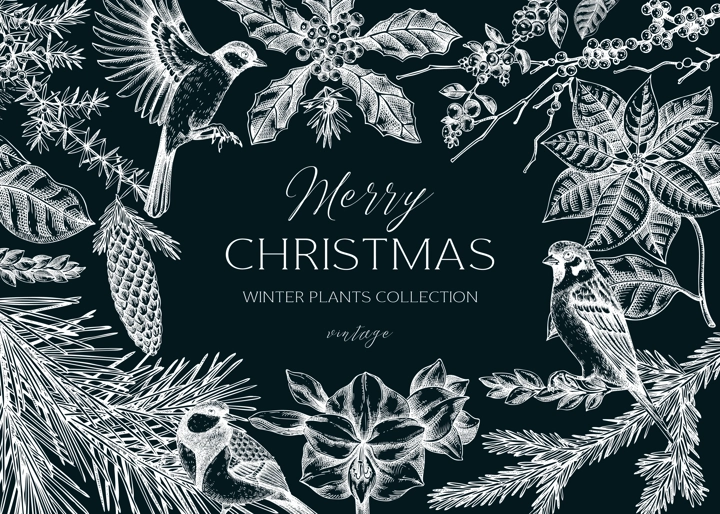 Christmas cbackground. Winter plants vintage frame template. Conifer trees, winter flowers, birds sketches. Hand drawn vector illustration on chalkboard. NOT AI generated